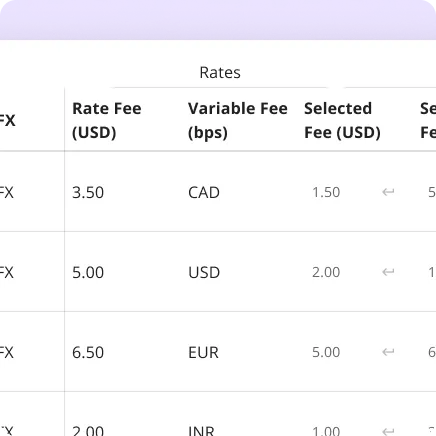 An image showing pricing across various corridors and currencies.