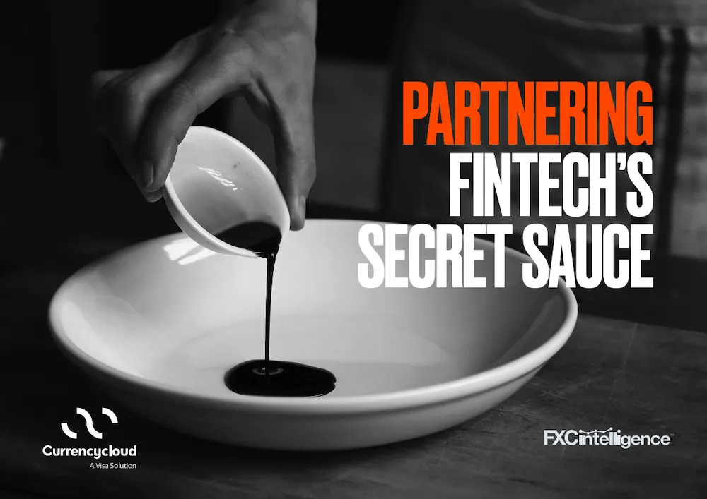 Partnering: Fintech's secret sauce report